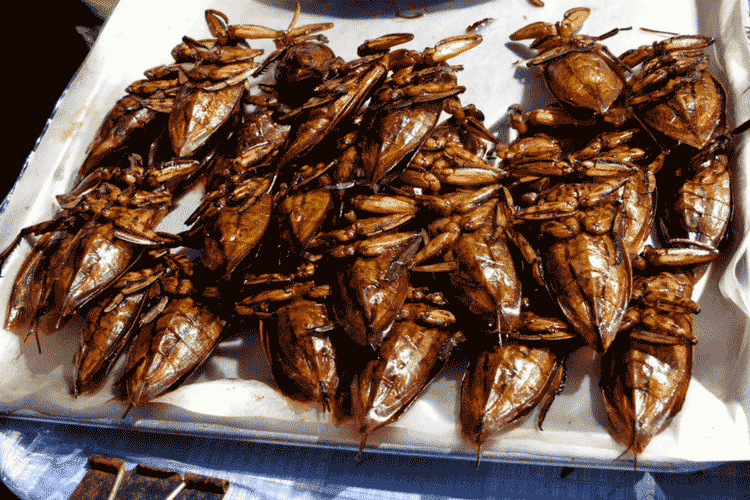 Deep Fried Insects