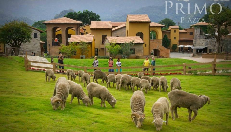 Primo Piazza at Khao Yai National Park