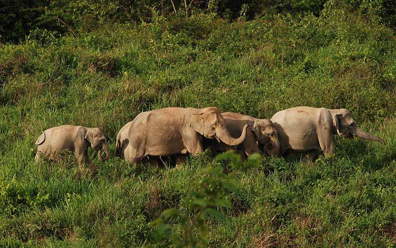 Kui Buri National Park,Thailand
